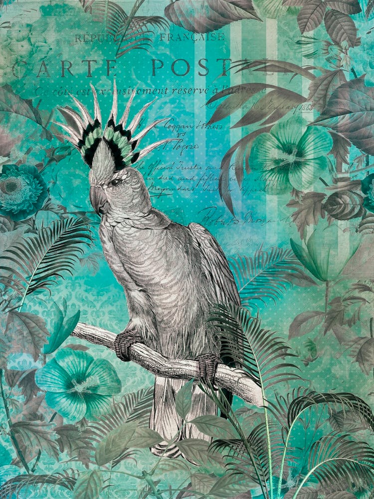 Cockatoo Paradise Turquoise