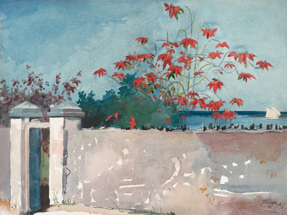 A Wall, Nassau, Winslow Homer