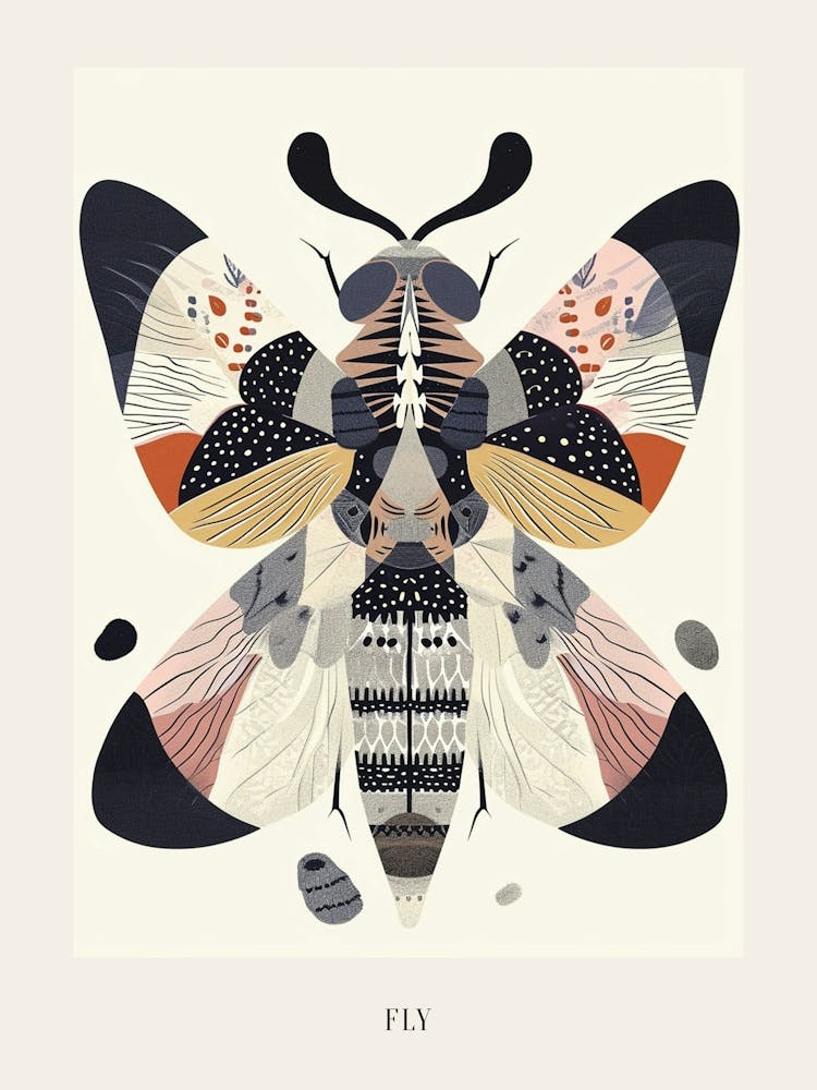 Colourful Insect Illustration Fly 17 Poster