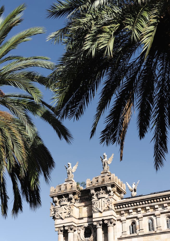 Green Palm Leaves On Barcelona Historical Building