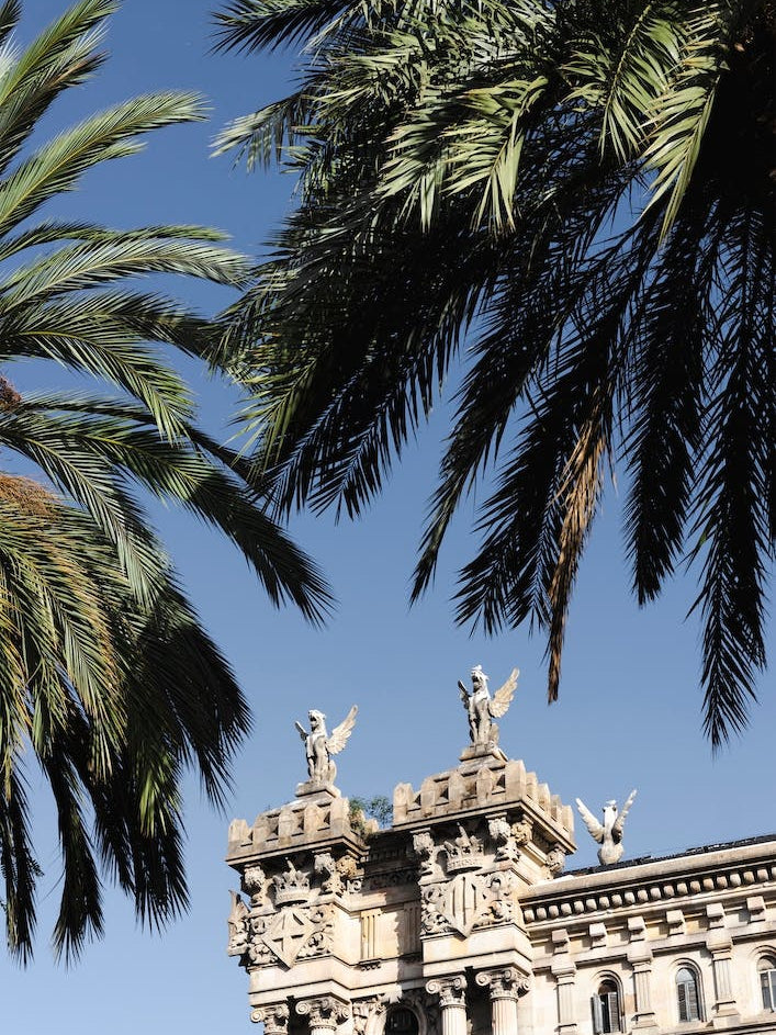 Green Palm Leaves On Barcelona Historical Building