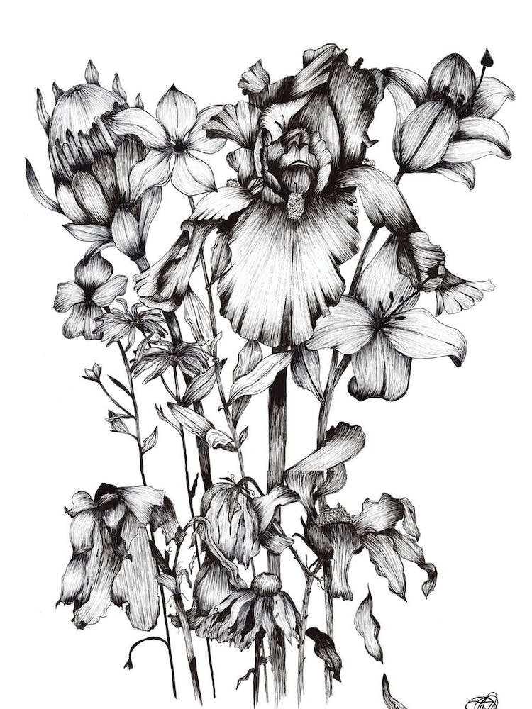 Black and White Protea and Iris Bouquet