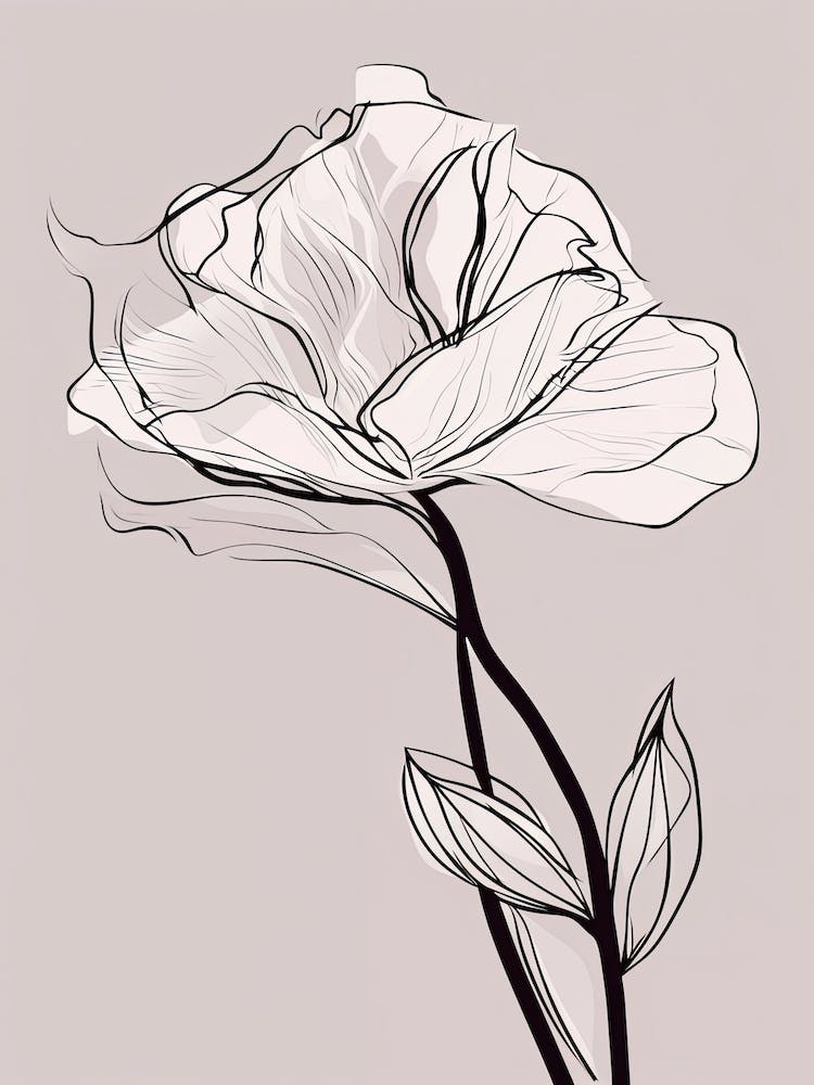 Gladioli Line Art Flowers Illustration Neutral 9