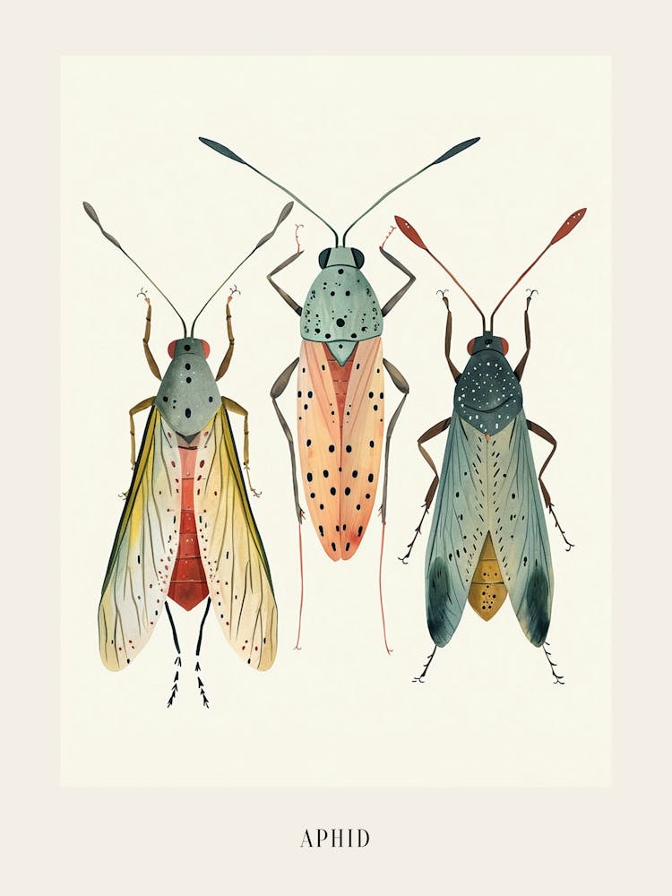 Colourful Insect Illustration Aphid 8 Poster