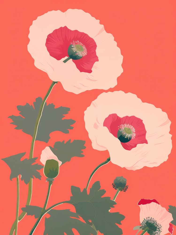 Poppies Flower Big Bold Illustration 2