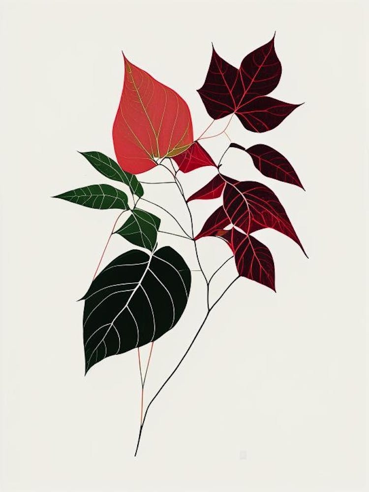 Western Poison Ivy Minimal Line Drawing 3