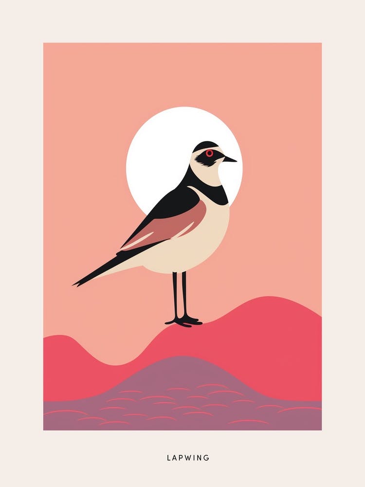 Minimalistischer Kiebitz 4 Vogelposter