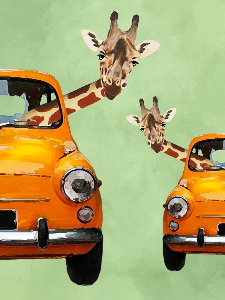 Giraffes In Yellow Cars