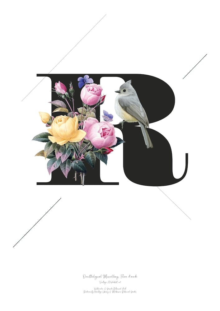 Botanical  Alphabet R