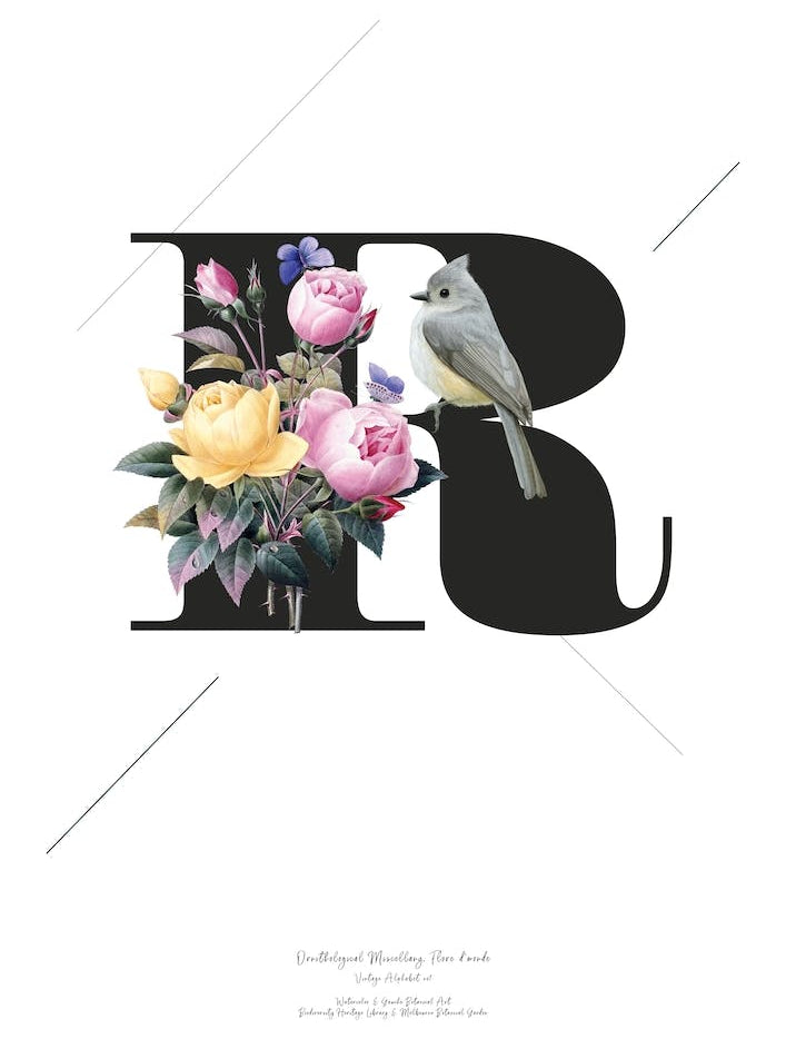 Botanical  Alphabet R