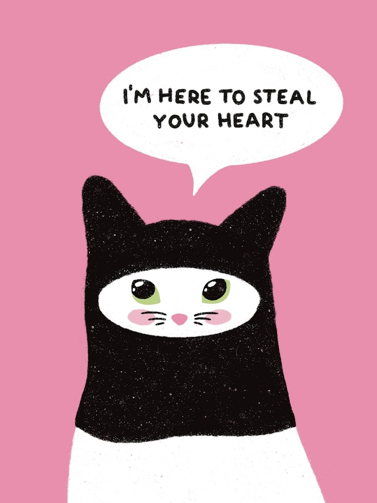 Steal Your Heart Cat