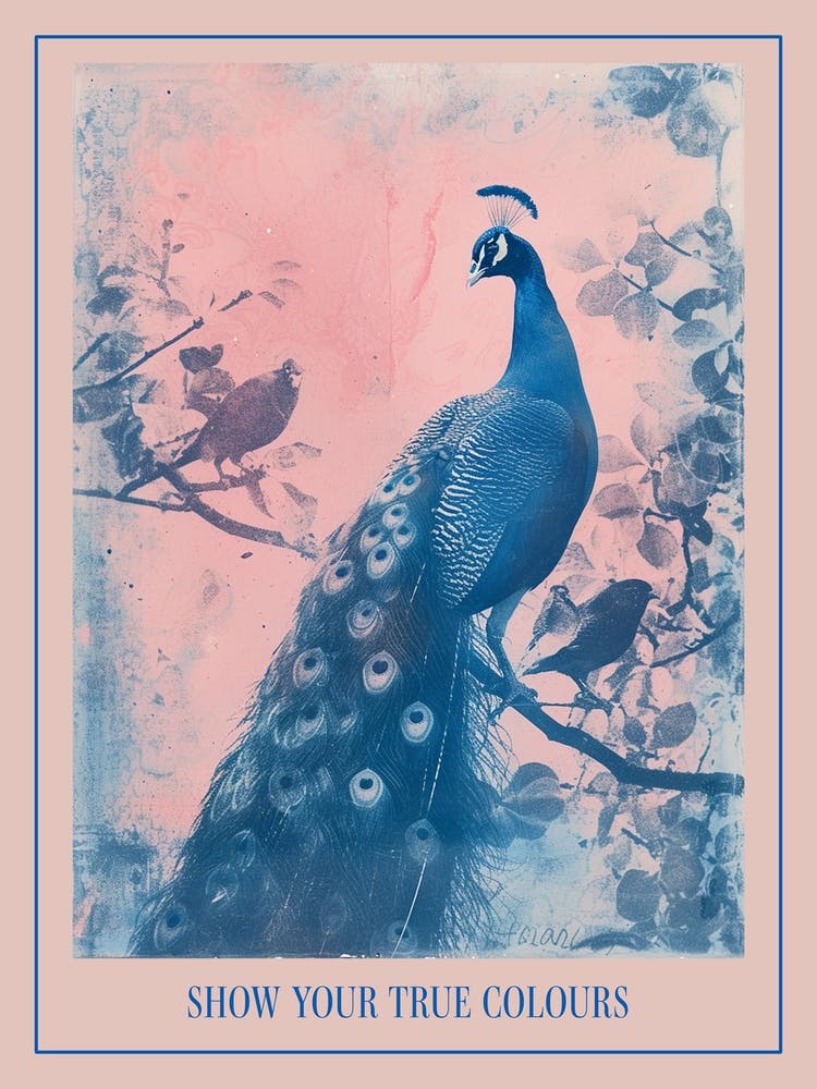 Peacock In A Tree With Other Birds Cyanotype Inspired Poster