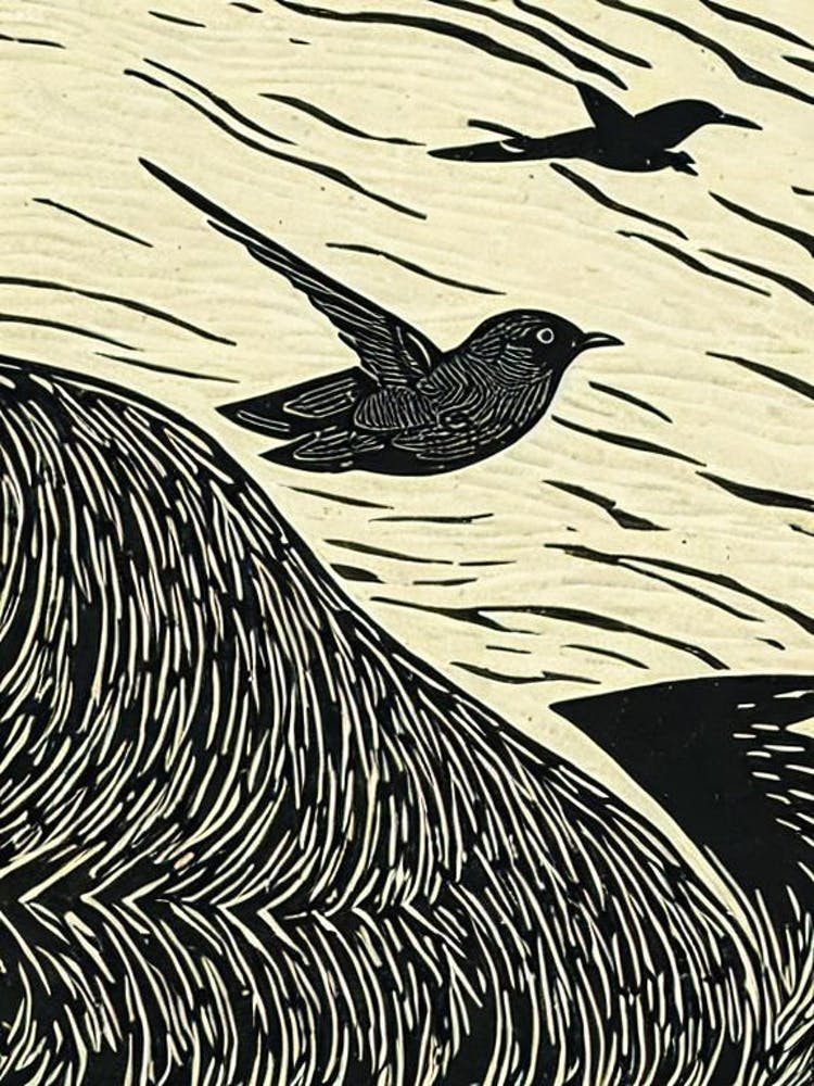 Chimney Swift 2 Linocut Bird