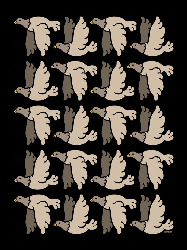 "Flight" Bird Composition