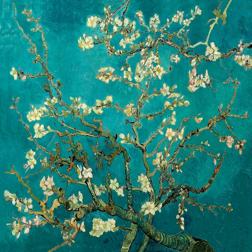 Vincent Van Gogh Blossoming Almond Tree