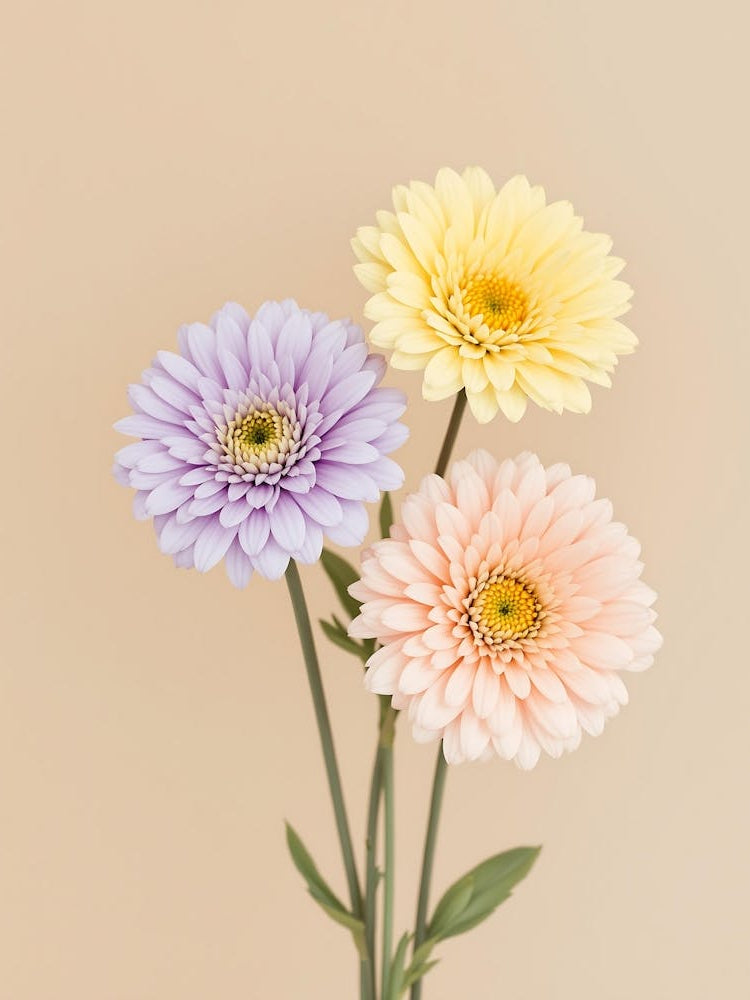 Gentle Blooming Flowers with a Natural Elegance