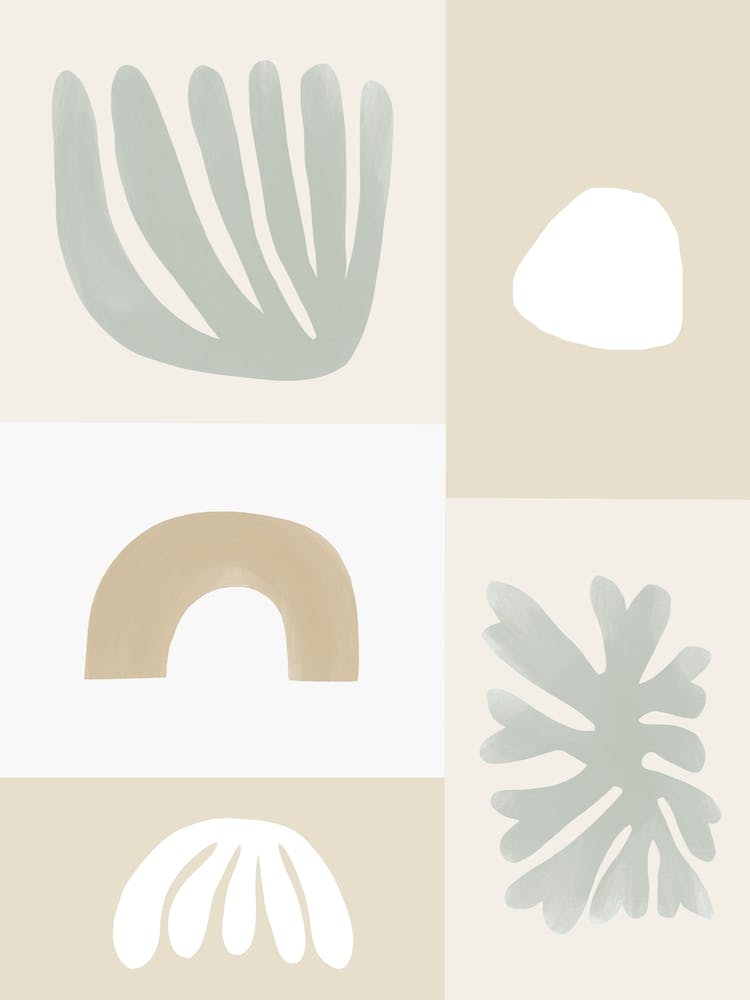 Modern Corals Sage Green