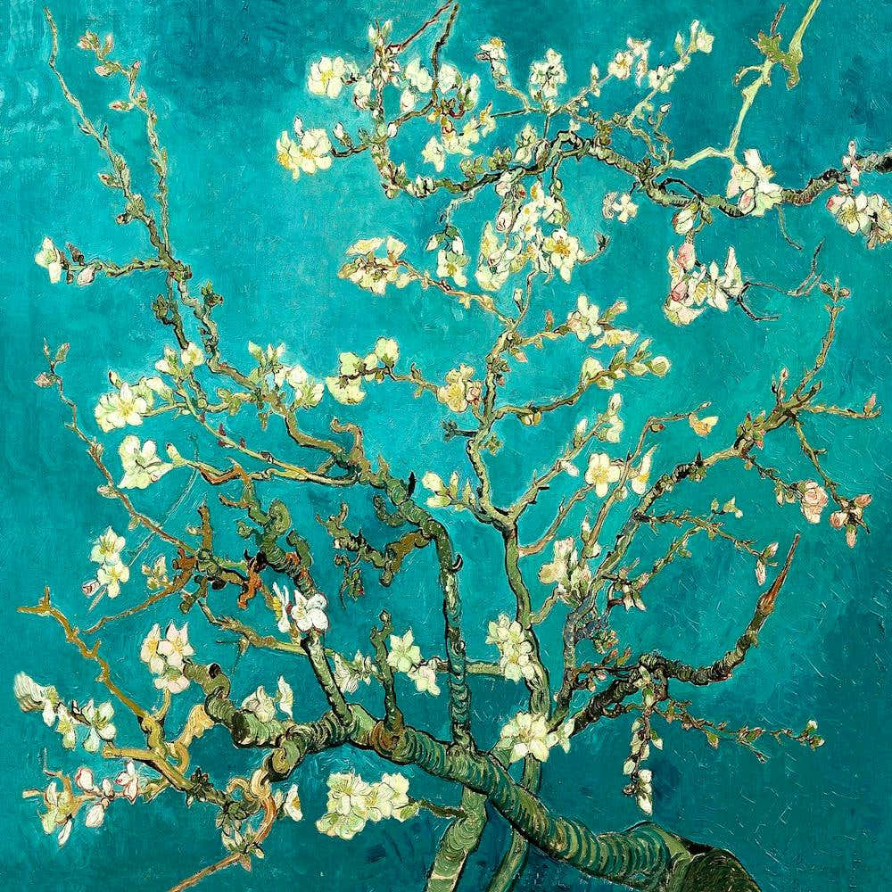 Vincent van Gogh Almond Blossom 5