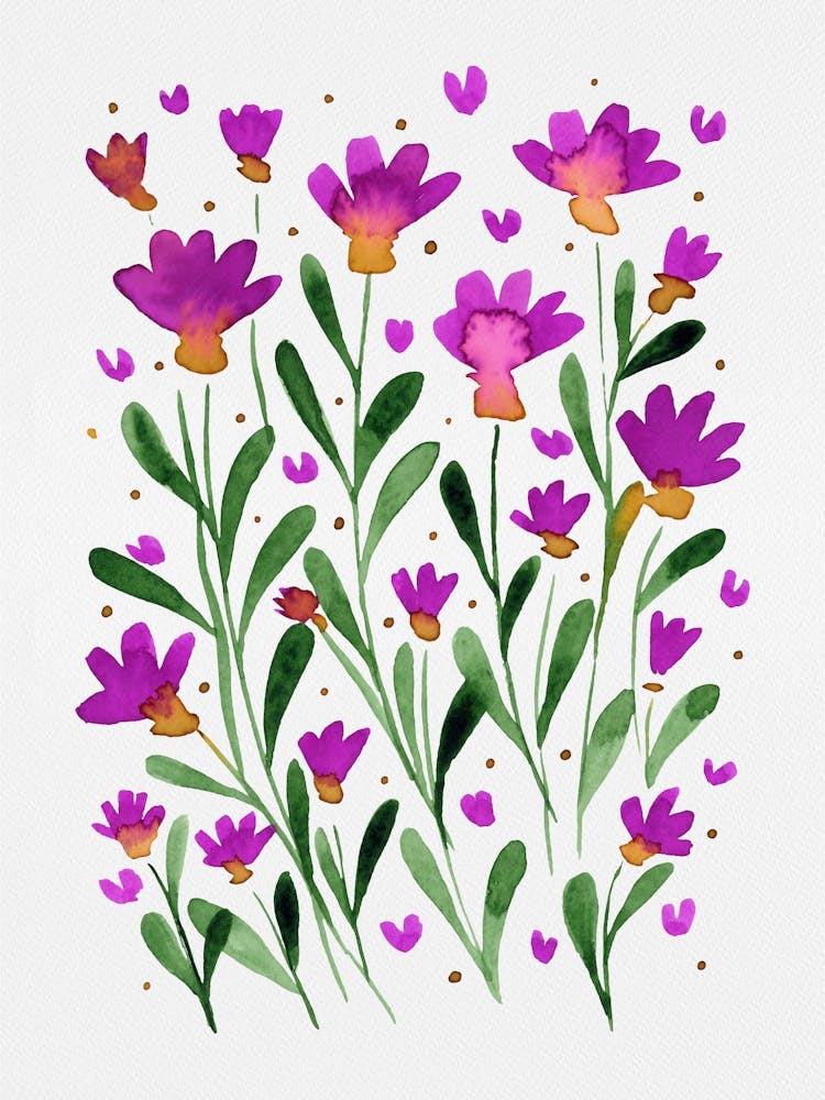 Forget Me Not Flowers