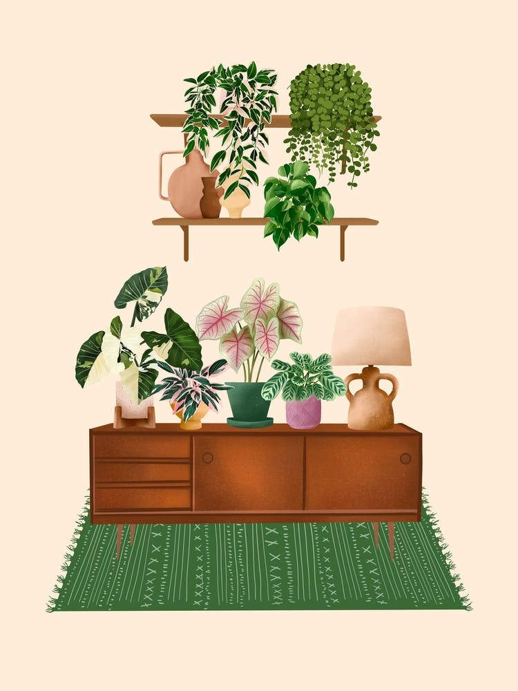 Interior With Plants 8