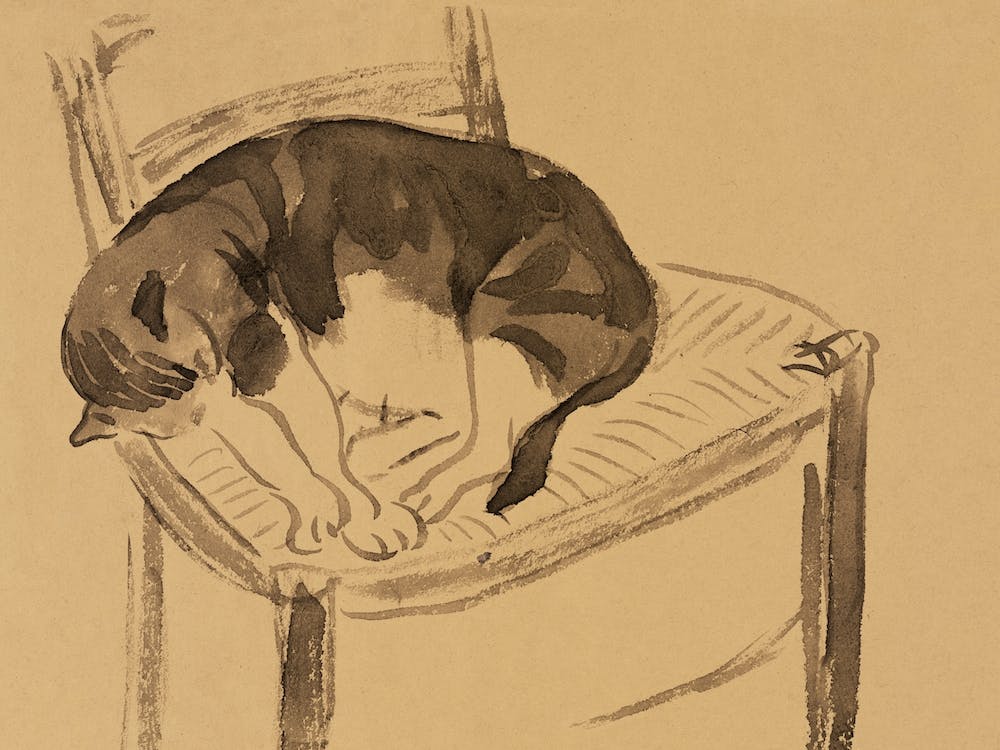 Sleeping Cat, Jane Poupelet