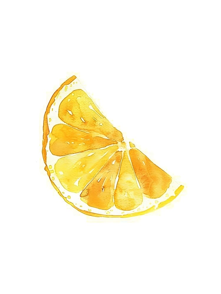 Peinture Aquarelle Tranche d'Orange