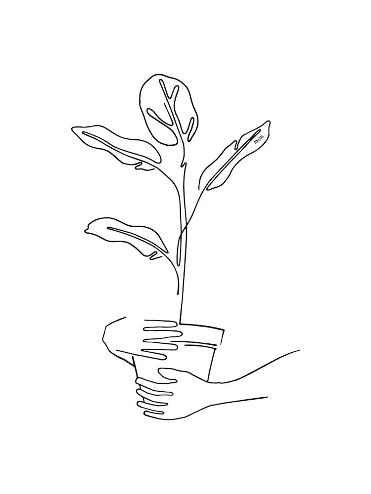 Mood Flowers