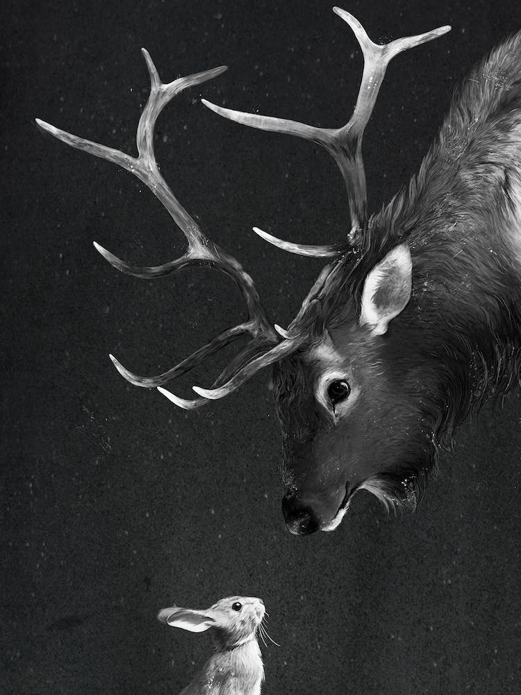 Elk and Rabbit