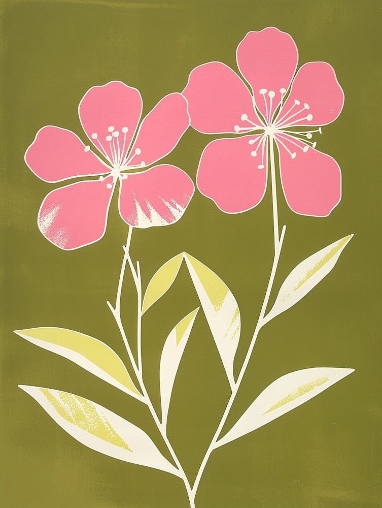 Pink & Green Bergamot 2