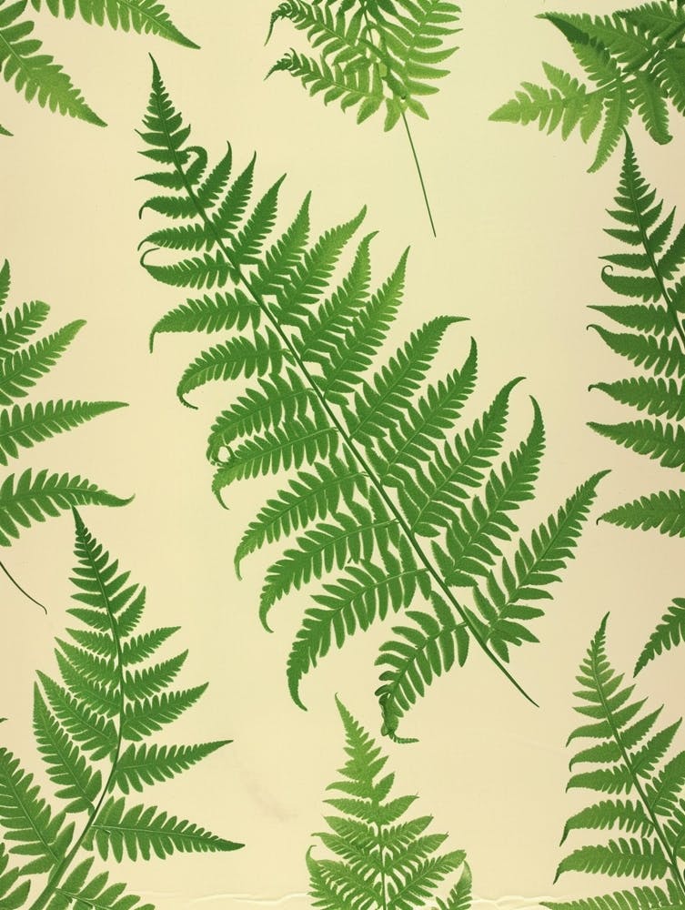 Pattern Poster Ruffled Fern 1