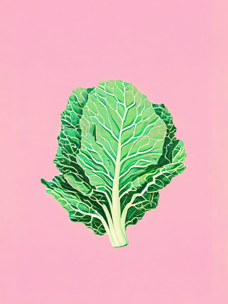 Crisp Cabbage Cut Pink Minimalist Painting