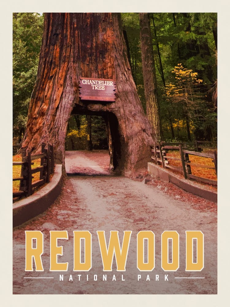 Redwood Travel Poster