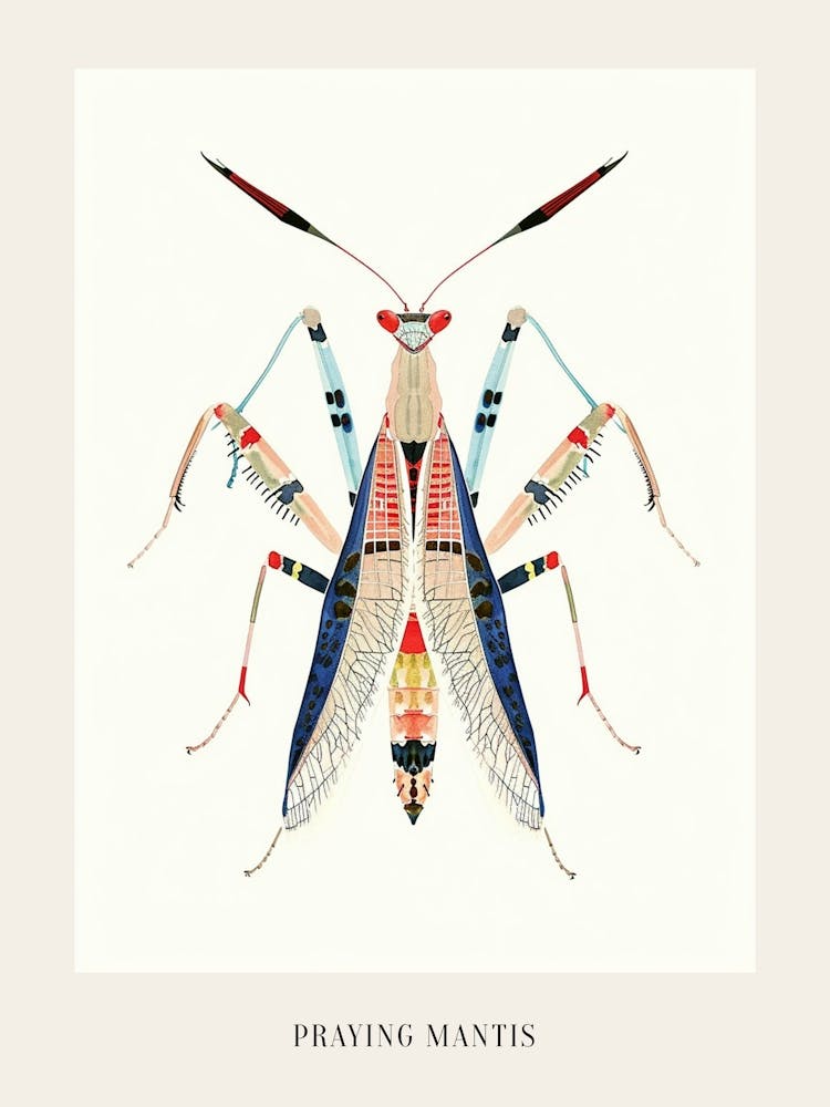 Colourful Insect Illustration Praying Mantis 5 Poster
