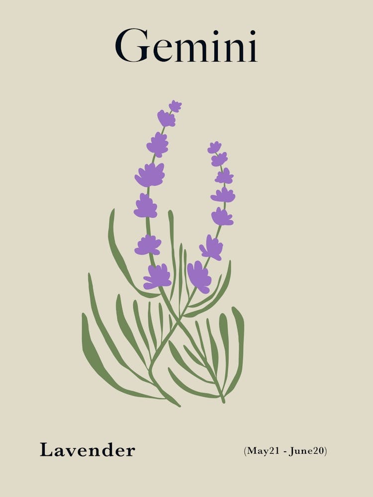Gemini Lavender