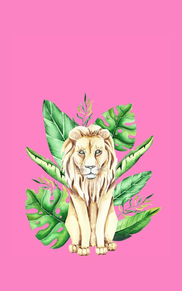 In the Jungle I