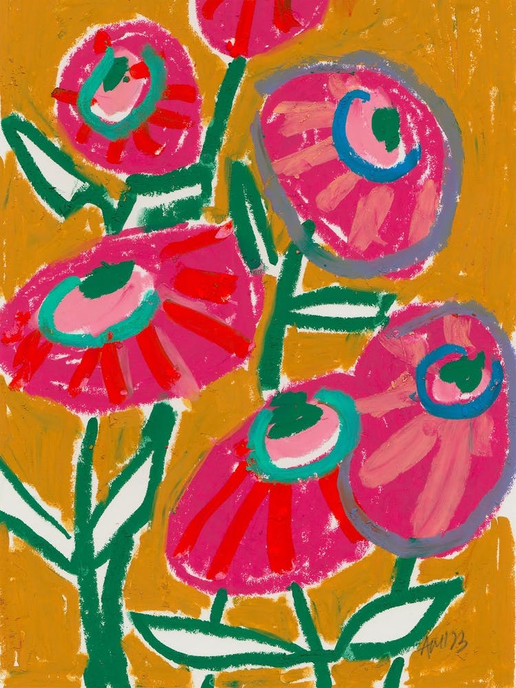 Dahlias, pink