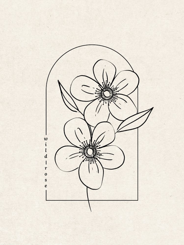 Wild Rose Flower