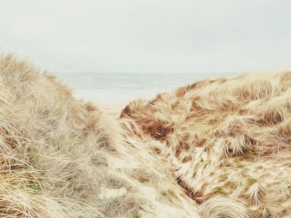 Dunes de sable de la plage d'Embleton Bay