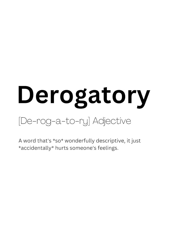 Derogatory Definition Meaning 1