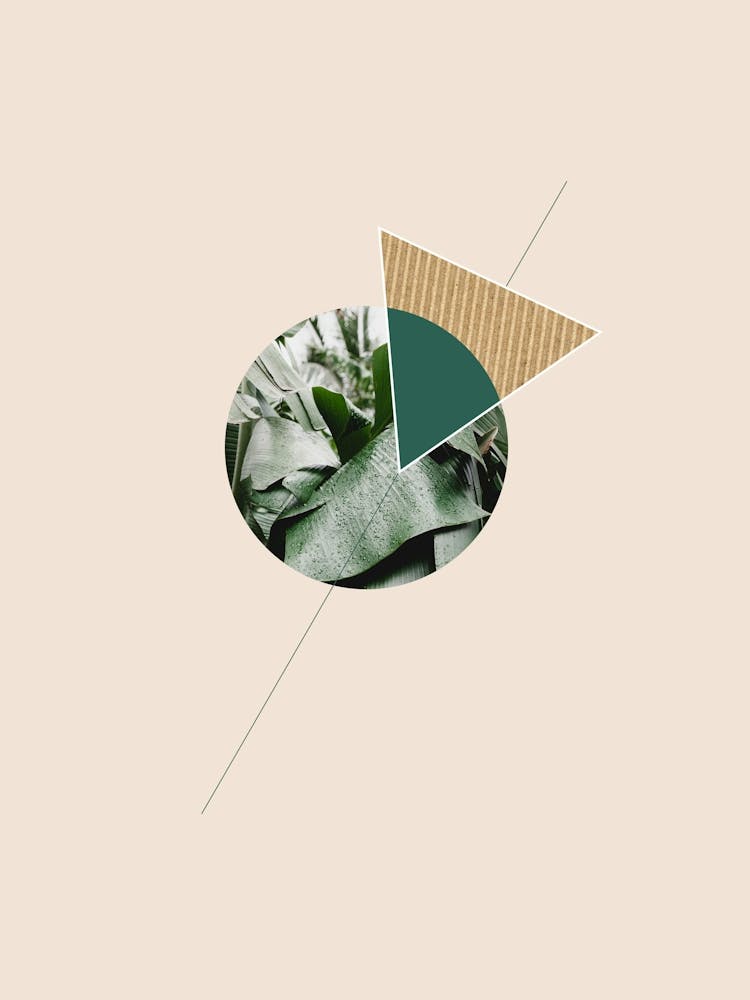 Géométrie Tropicale N° 3