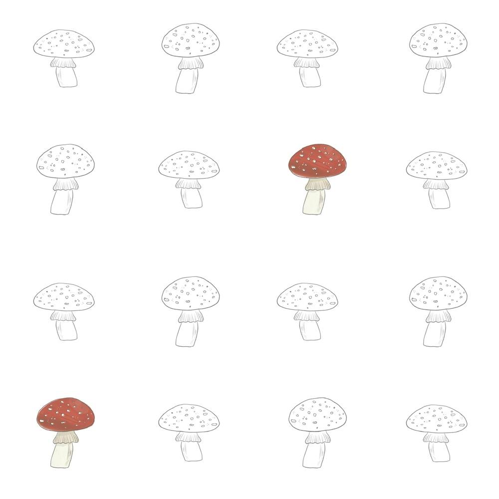 Mushrooms On A White Background