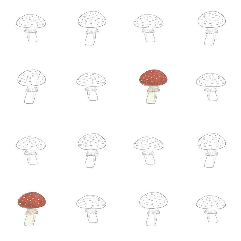 Mushrooms On A White Background