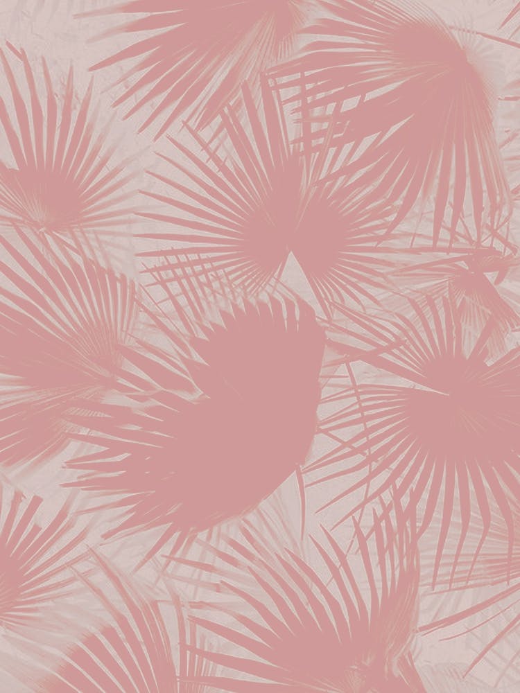 Pink Palms