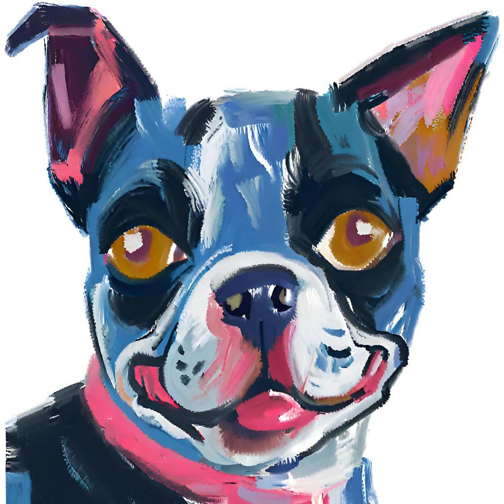 Boston Terrier 04