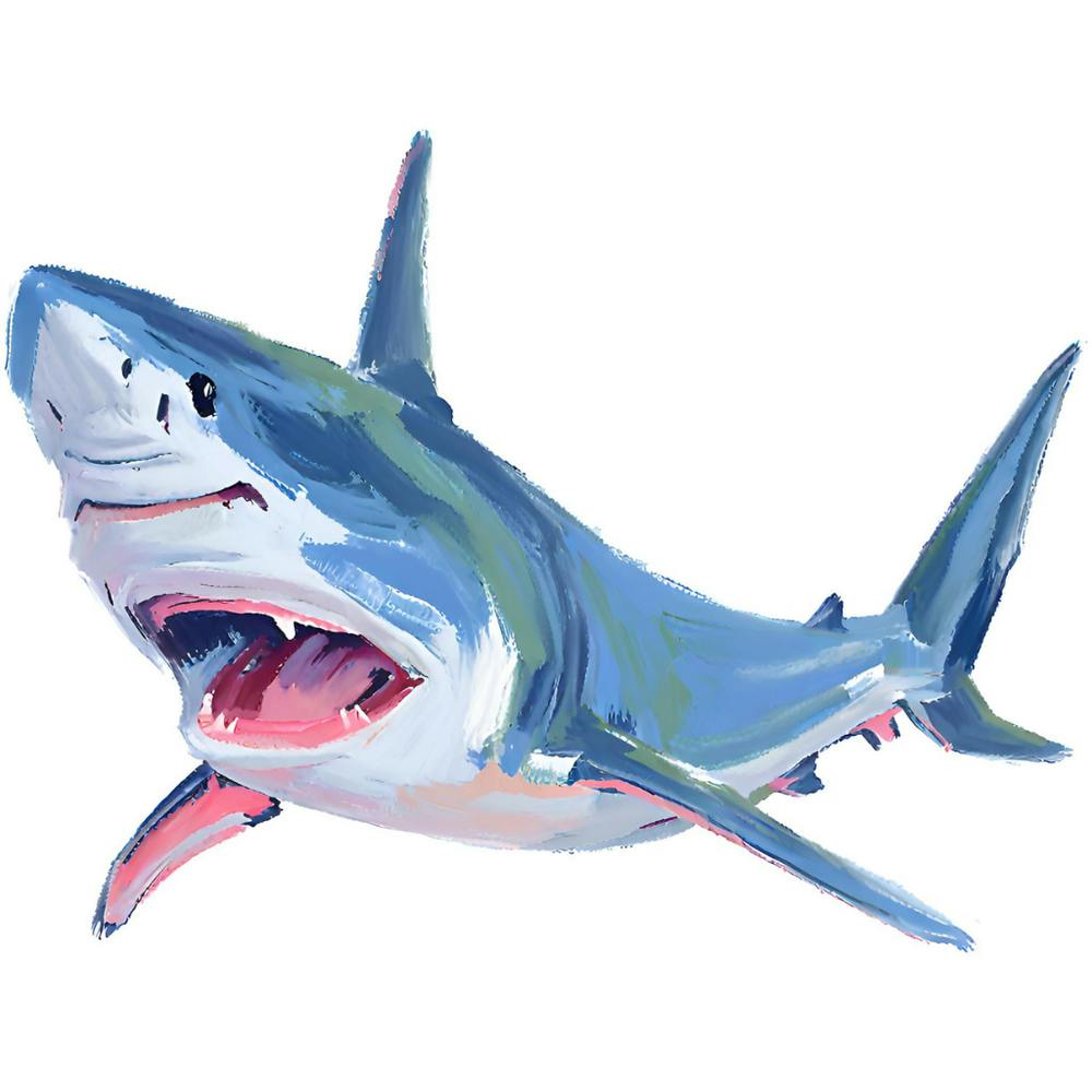 Hammerhead Shark 02