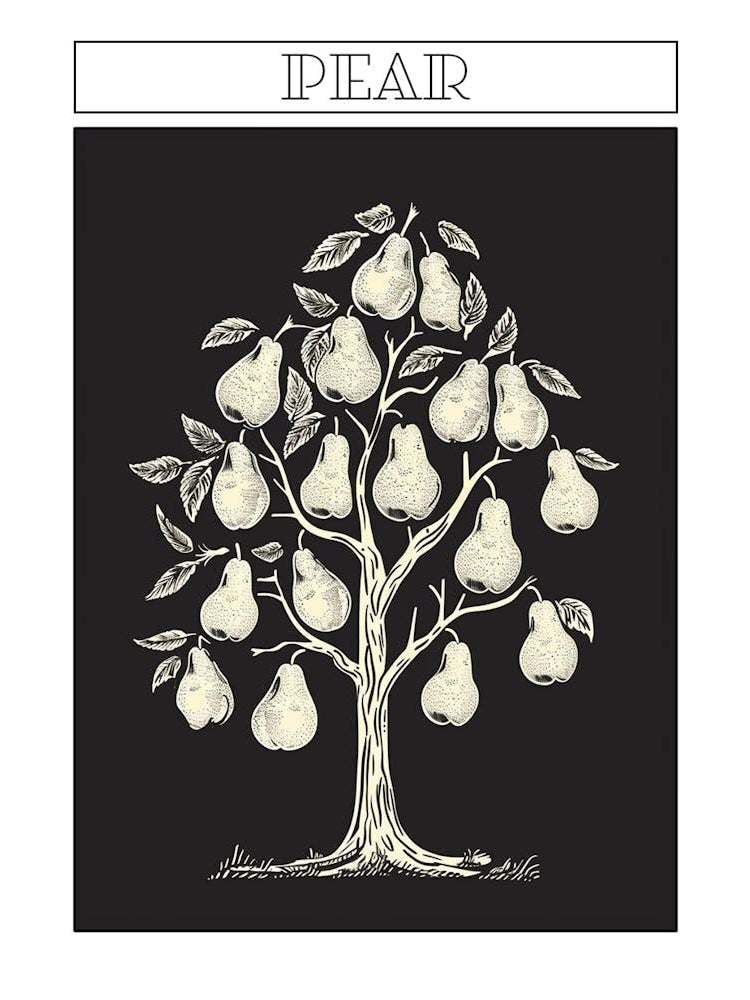 Pear Tree Minimalistic Drawing 1 Poster