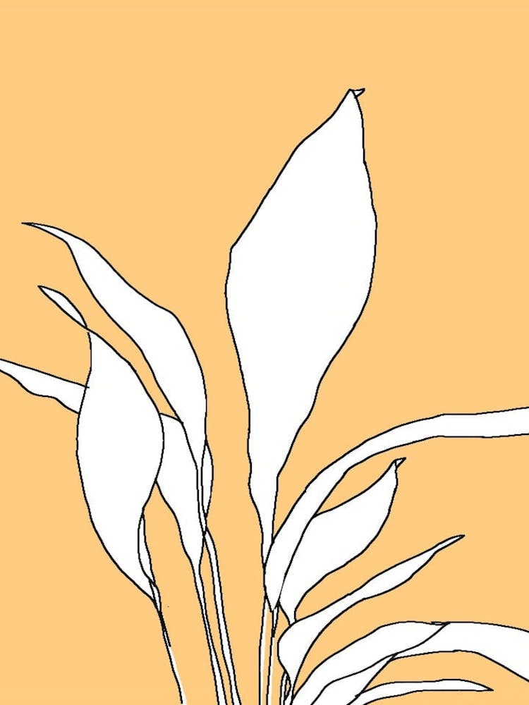Ivy yellow