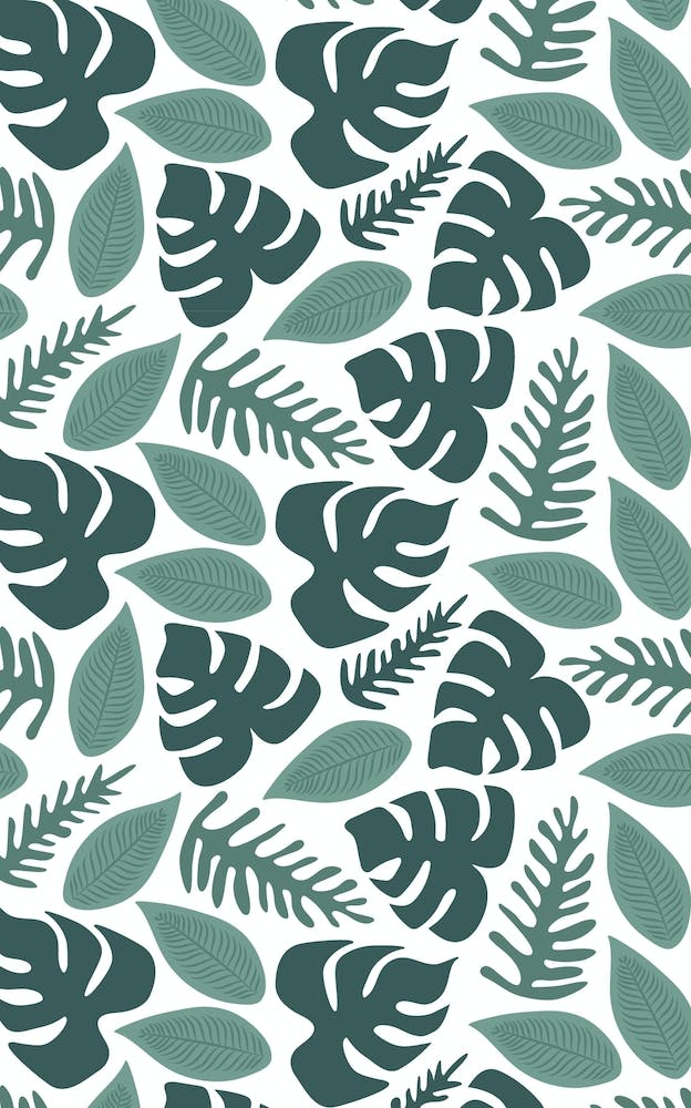 Rainforest