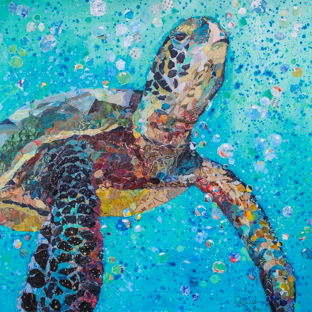 Blue Baby Turtle In The Sea Square