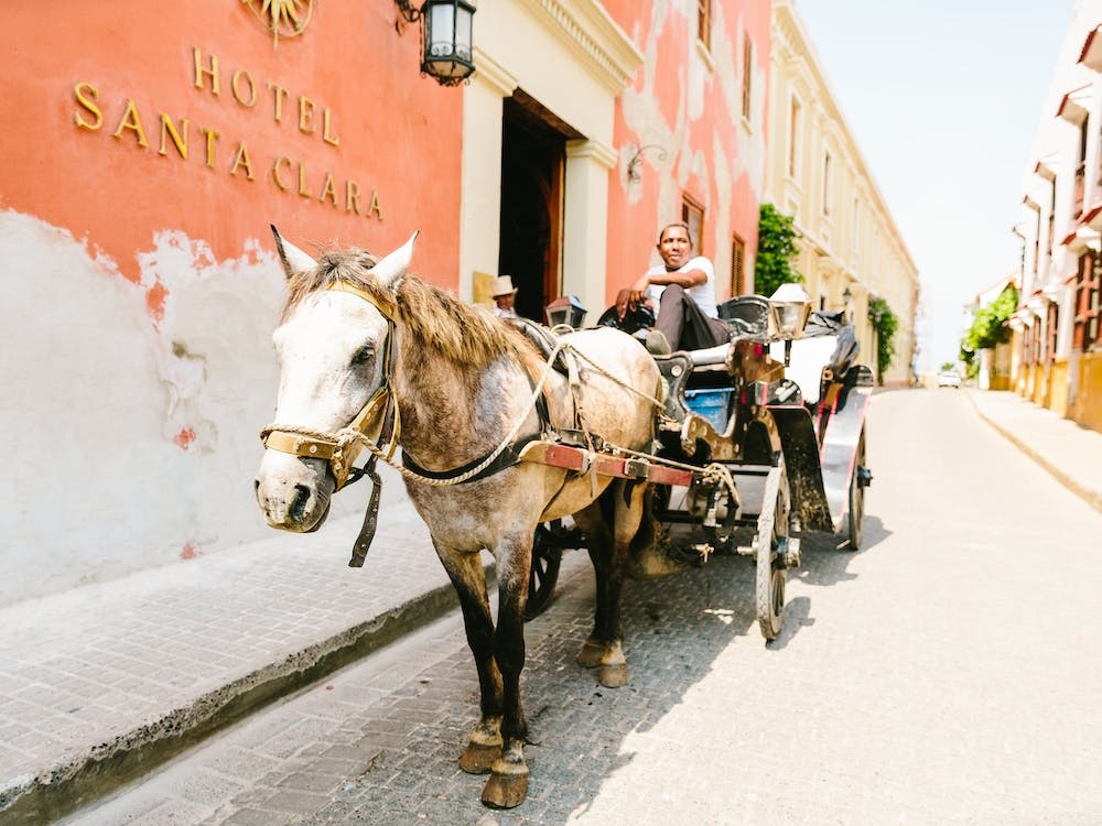 Cartagena Colombia Carts